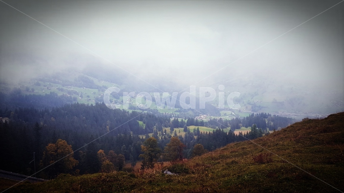 안개,fog,nature,자연,outdoors,옥외