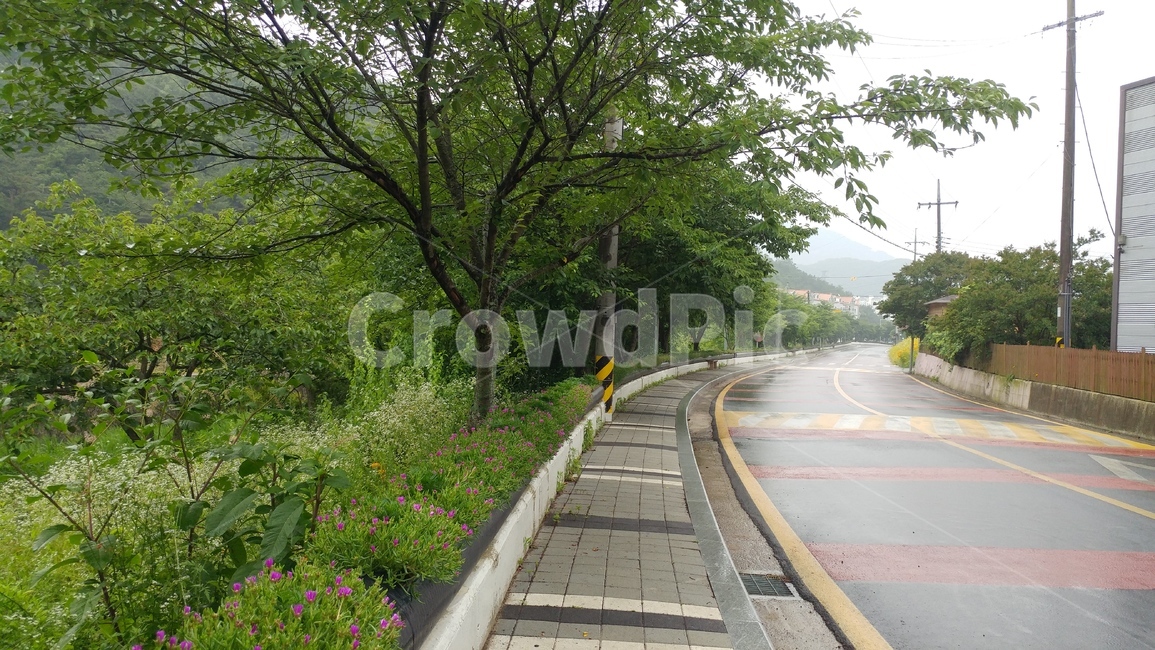 비내리는날,비,빗방울,감성,자연