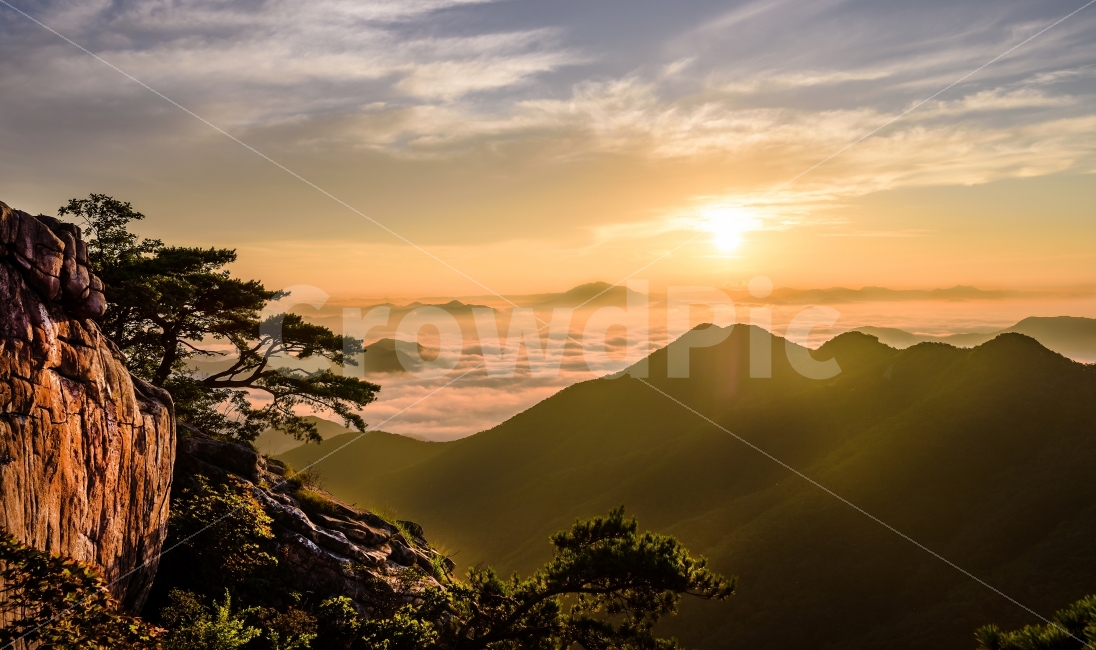 아침,일출,풍경,소나무,운해,대둔산,산,자연,풍경,nature,landscape,outdoors,옥외,sunset,일몰,dawn,새벽,red sky,붉은 하늘,sky,하늘,dusk,황혼