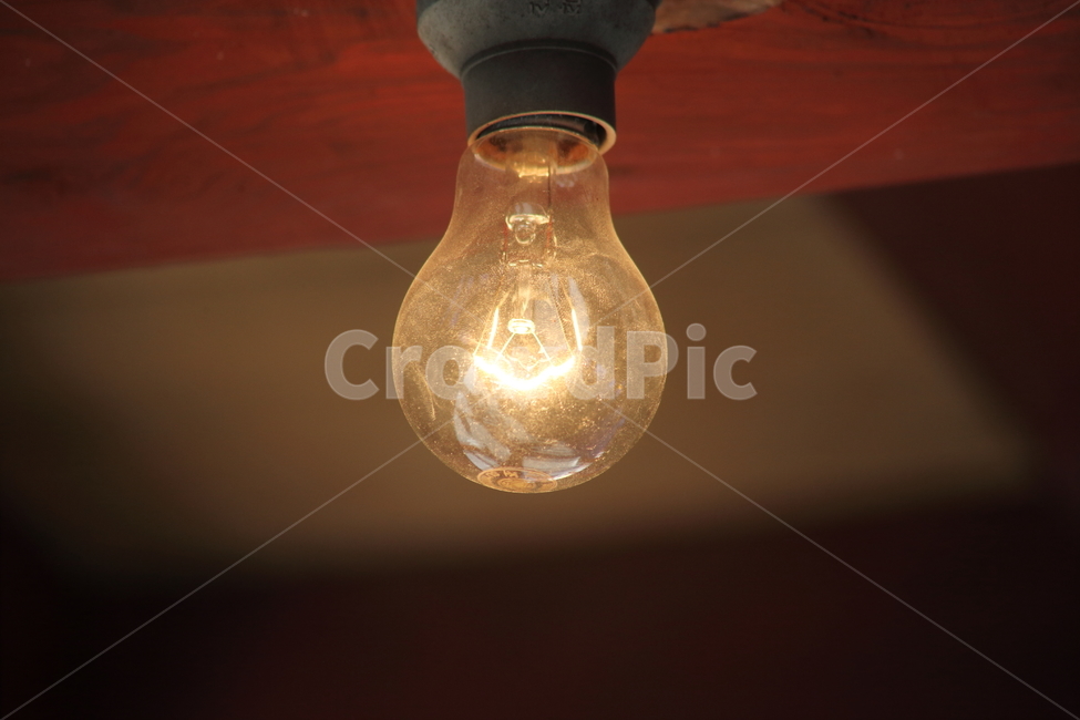 전구,불빛,전기,electric,electricbulb,사물,물건,오브젝트,thing,object,matter