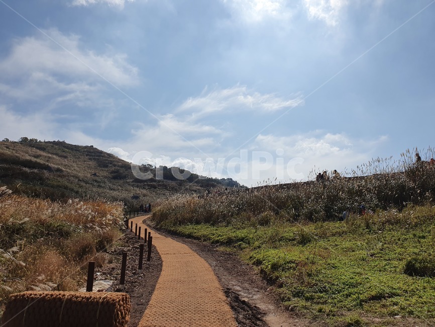 흙길,오솔길,역광,자연,오르막,nature,언덕,언덕길,자연풍경,화왕산,산책길,산정상,field,식물,억새,갈대,구름,자연,풍경,nature,landscape,gravel,자갈,road,도로,dirt road,ground,바닥