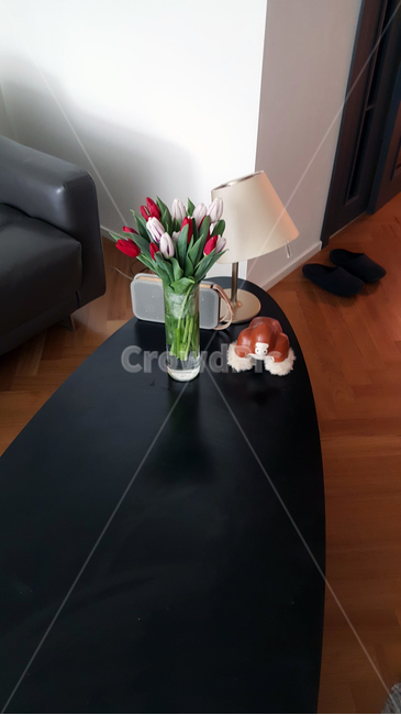 furniture,livingroom,가구,거실,indoors,식물,자연,plants,nature,꽃,flower,인테리어,실내디자인,interior design