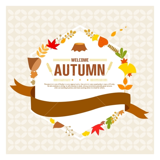 밤,나무,단풍,은행,가을,감성,표지,카드,일러스트,가을,계절,fall,autumn,season,그래픽,일러스트레이션,graphic,illustration,advertisement,광고,poster,포스터,flyer,전단,paper,종이,brochure,브로슈어