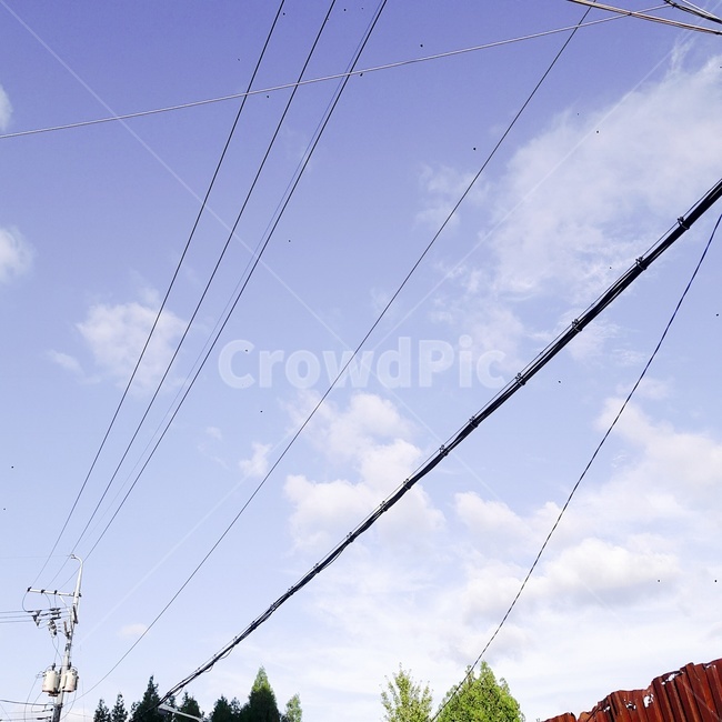 하늘,색감,구름,전기줄,나무,힐링,자연,풍경,nature,landscape,utility pole,전신주