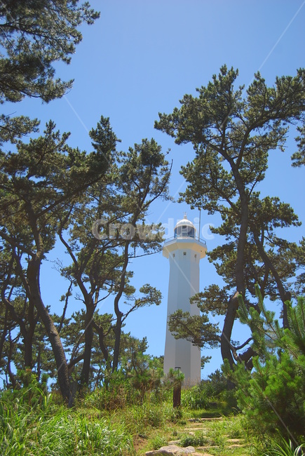 자연,바다,풍경,대왕암,등대,여름,등대,lighthouse,식물,자연,plants,nature,나무,trees,wood