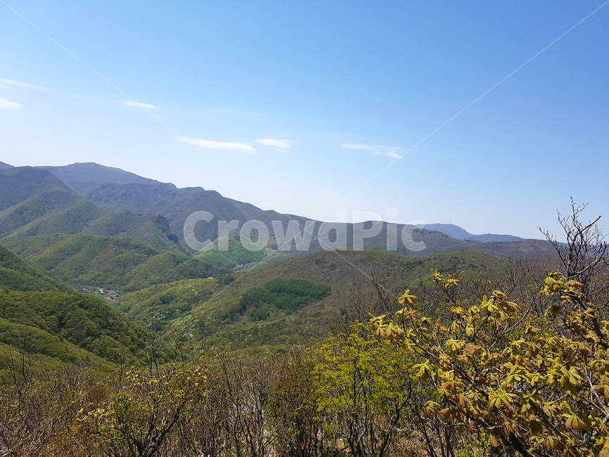 nature,자연,outdoors,옥외,hill,한지방,countryside,언덕,산,낙엽,풀,숲