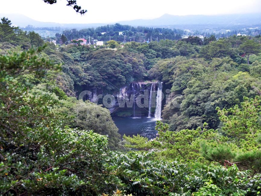 천지연폭포,서귀포,삼매봉,올레6코스,올레길,제주,폭포,자연,풍경,nature,landscape,한국자연풍경,한국자연경관,korea nature landscape,제주도,jeju,jeju island,river,강,water,물,outdoors,옥외,waterfall,vegetation,초목,plant,식물,rainforest,열대 우림,land,땅,tree,나무