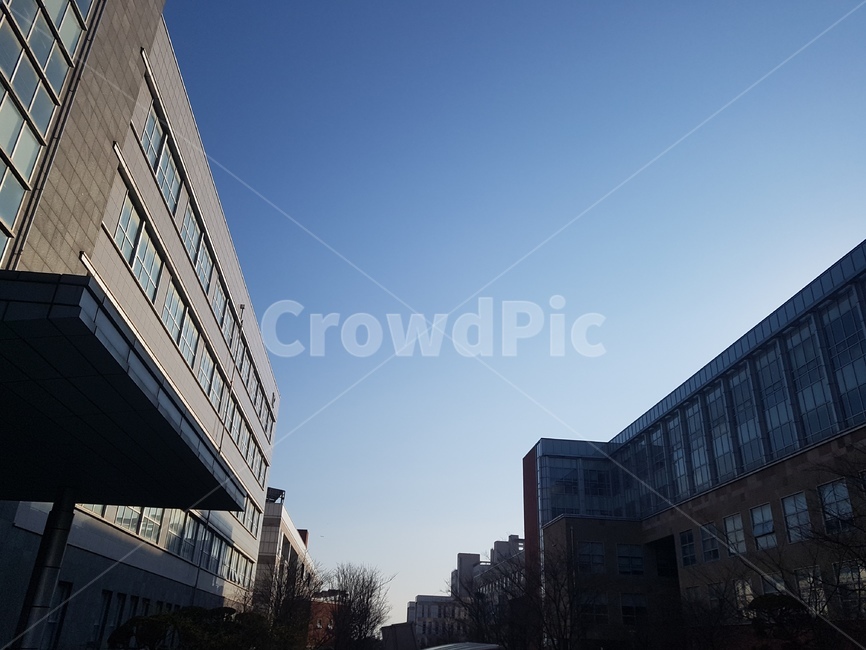 대학교,캠퍼스,강의,하늘,건물,오후,해질녘,건축물,건물외관,exterior,building,structure,architecture,construction