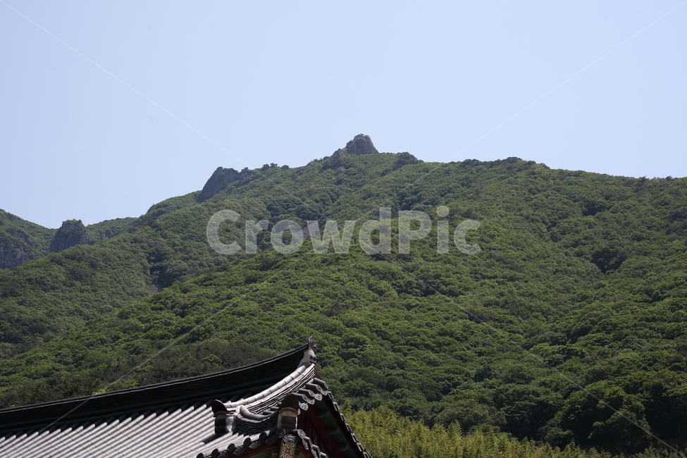 재약산,산,영남알프스,여름,mountain