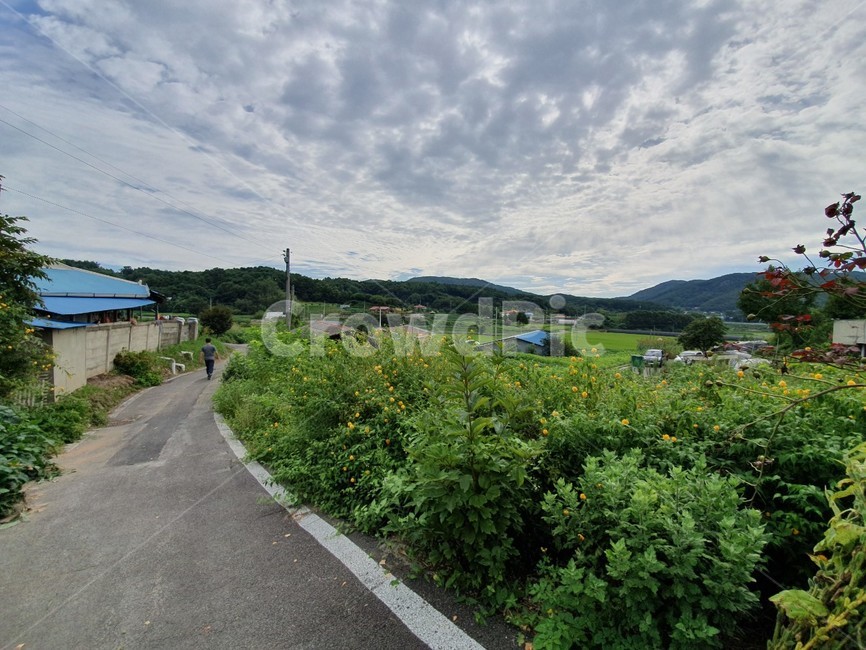 시골,자연,도로,한적,고즈넉,시골,마을,풍경,landscape,country,rural,town