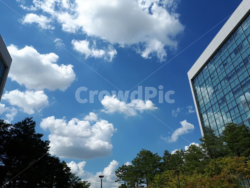 파란하늘,하늘,구름,맑은날씨,미세먼지,건축물,건물외관,exterior,building,structure,architecture,construction