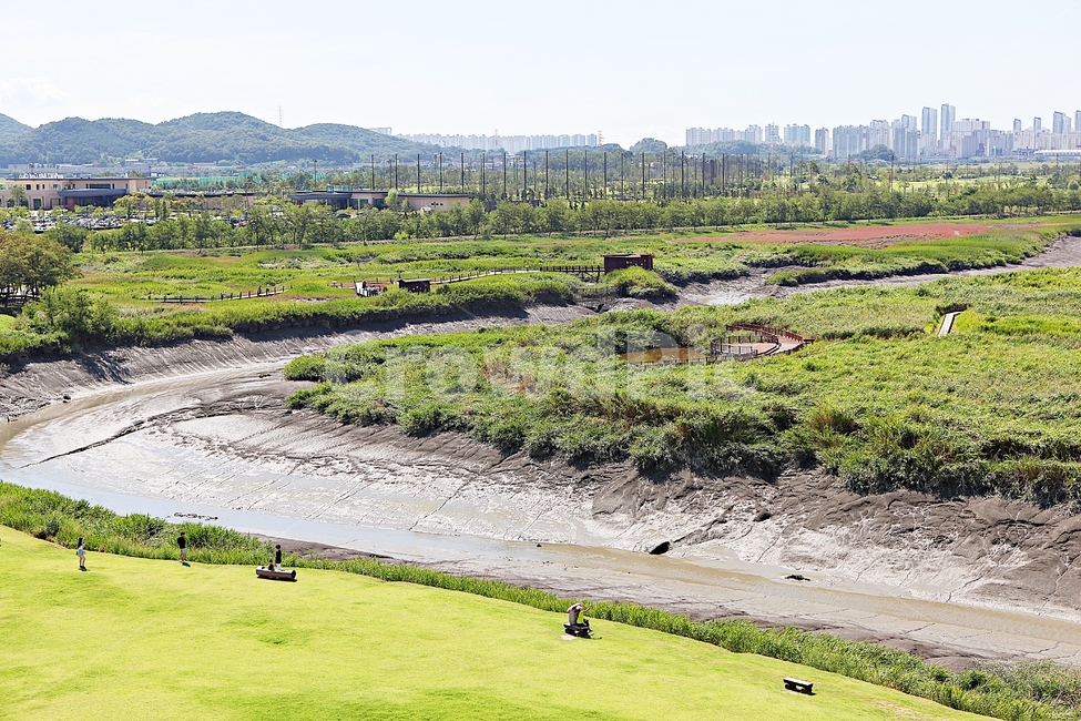 시흥갯골생태공원,공원,식물,자연,풍경,갈대,잡초,여름,게절,자연,풍경,nature,landscape