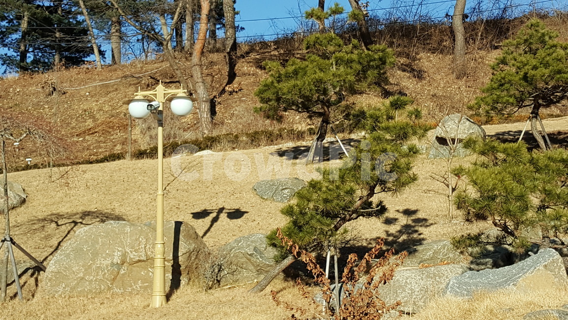 공원,자연,풍경,산,조경,나무,식물,경치,자연,풍경,nature,landscape,tree,plant