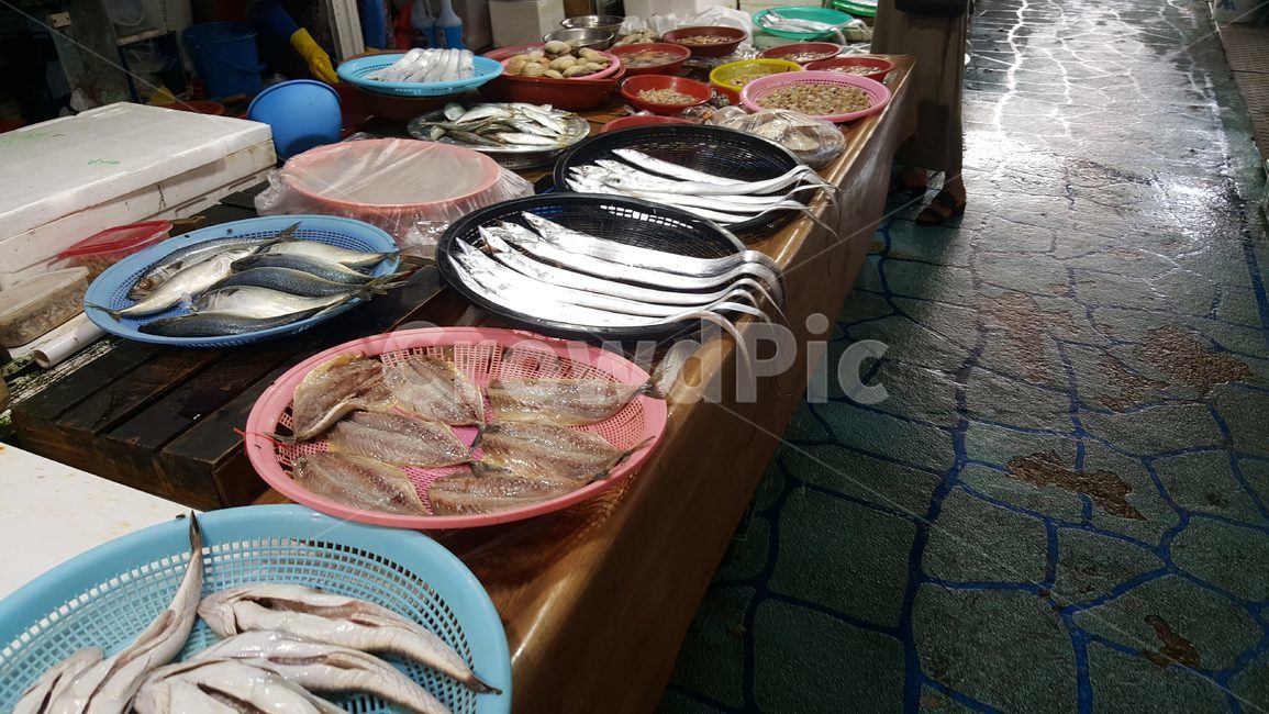 수산물시장,해산물,생선,신선한,회,부둣가,시장,마트,마켓,market,mart,market place,음식,식재료,요리,food,cook,meal,dishes,food reserves,수산물,해산물,fishery products,seafood