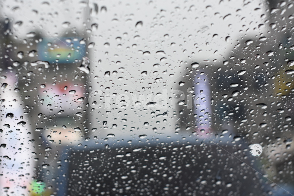 유리창,빗물,물방울,비,창문,감성사진,비,비오는날,rain,rainy