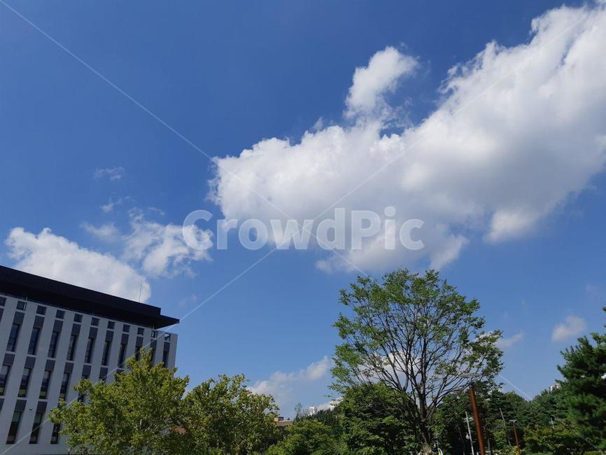 sky,cloud,구름,하늘,맑음,밝음,nature,whather,적운,cumulus