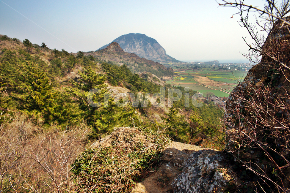 바굼지오름,단산,제주도,서귀포시,오름,바고미오름,산방산,자연,풍경,nature,landscape,한국자연풍경,한국자연경관,korea nature landscape,outdoors,옥외
