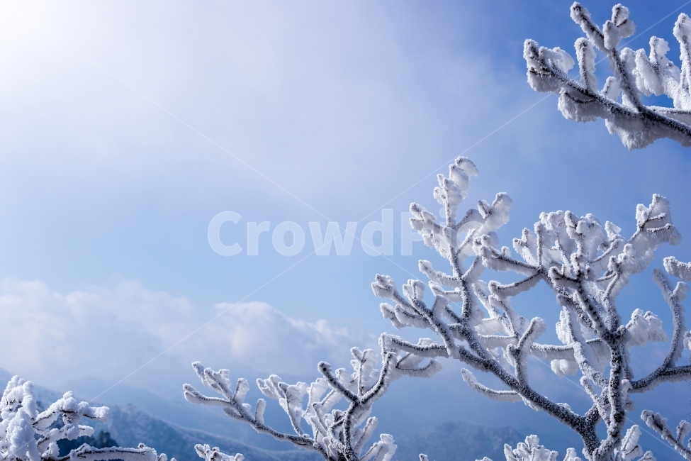 겨울풍경,겨울,눈,풍경,자연,감성,눈꽃,덕유산,snow,winter,nature,landscape,mountain,tree,겨울,계절,winter,season,자연,풍경,nature,landscape,outdoors,옥외