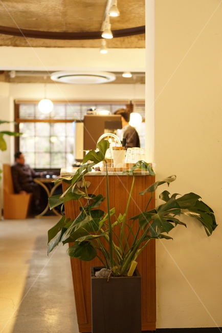 카페,감성,화분,식물,따뜻함,인테리어,실내디자인,interior design