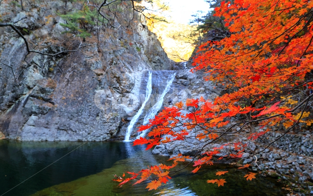 단풍,용추푝포,가을,주왕산,폭포,산,가을,계절,fall,autumn,season,leaf,잎,plant,식물,tree,나무