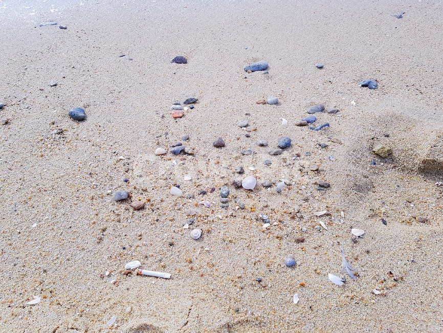 모래,모래사장,백사장,자연,nature,sand