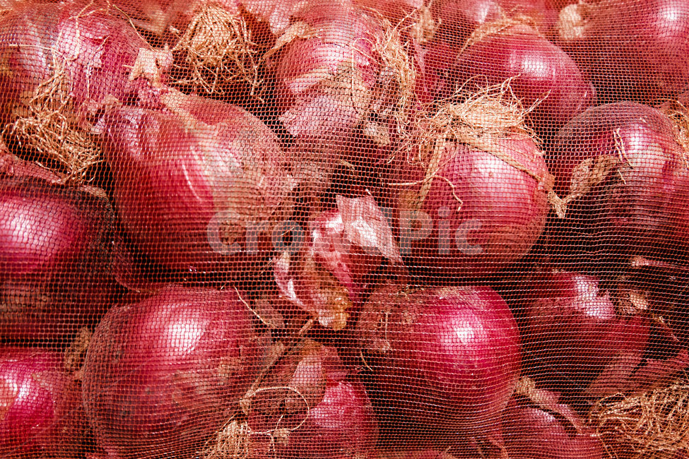 양파,식재료,빨강,근접촬영,망,양파망,색감,color,onion,red