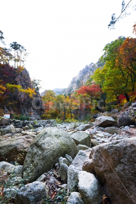 계곡사진,풍경사진,풍경,계곡,단풍,가을,가을,계절,fall,autumn,season,자연,풍경,nature,landscape,한국자연풍경,한국자연경관,korea nature landscape,rubble,파편