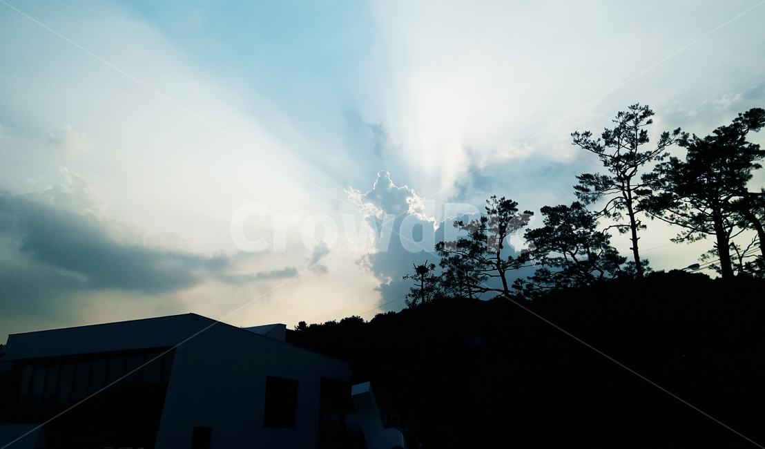 하늘,후광,구름,소나무,오후,자연,자연,풍경,nature,landscape,weather,날씨,outdoors,옥외,cloud,sky,cumulus,적운