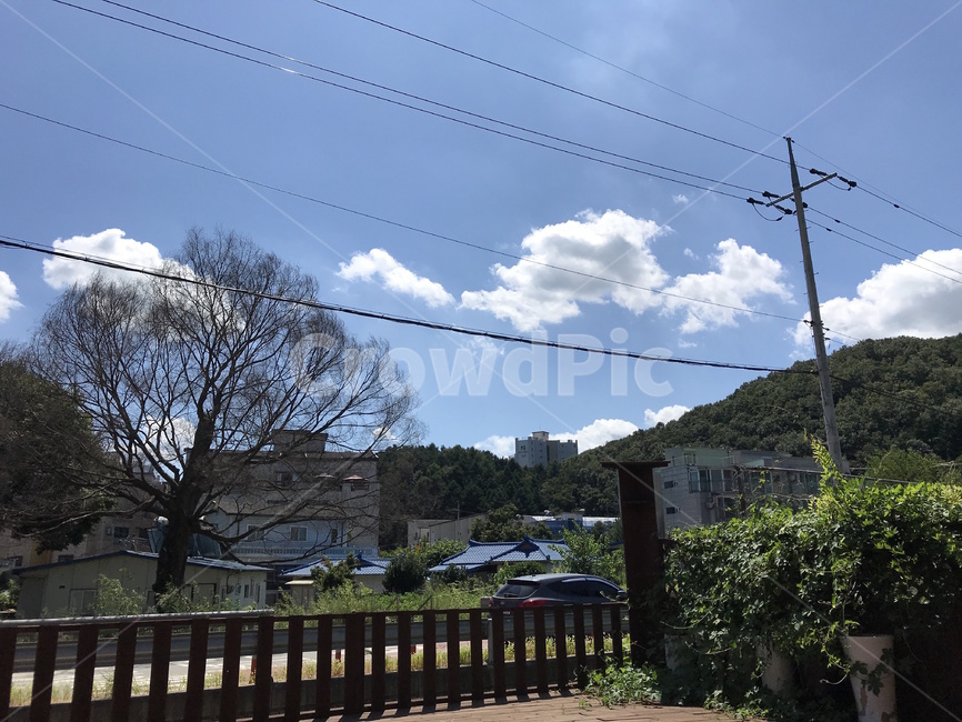 하늘,나무,풍경,구름,sky,green,cloud,landscape,경치,scenery