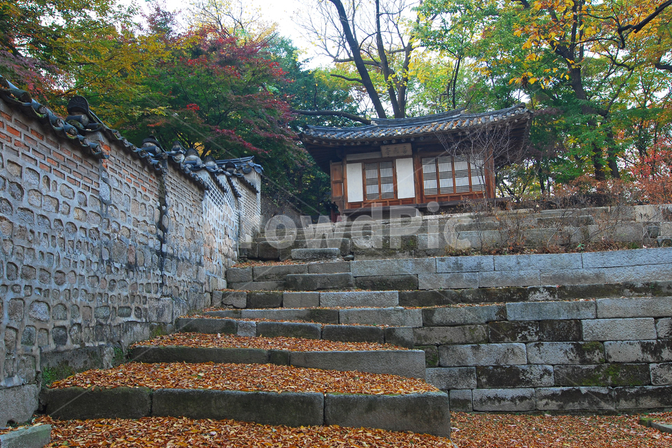 한옥,기와집,계단,건축,전통건축,한국,전통,한국전통,집,가옥,창덕궁,희우정,고궁,궁,전통가옥,담,담장,후원,비원,낙엽,가을,단풍,풍경,가을,계절,fall,autumn,season,한국전통,한국문화,korean traditional,korean culture,랜드마크,landmark,tourist attraction,한국랜드마크,한국관광지,한국명소,korea landmark,korea tourist attraction,건축물,건물외관,exterior,building,structure,architecture,construction,slate,슬레이트,walkway,보도,path,통로,staircase,handrail,난간,banister