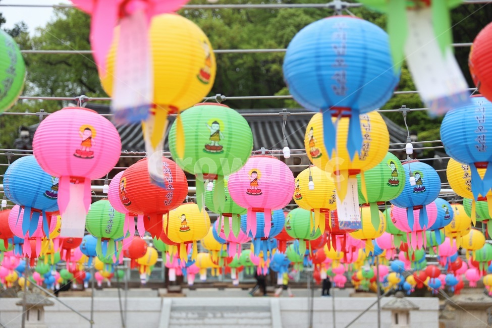 풍경,절,전통,한국,korea,tradition,landscape,temple,연등,한국전통,한국문화,korean traditional,korean culture,종교,신앙,religion,belief,faith,축제,행사,festival,carnival,event