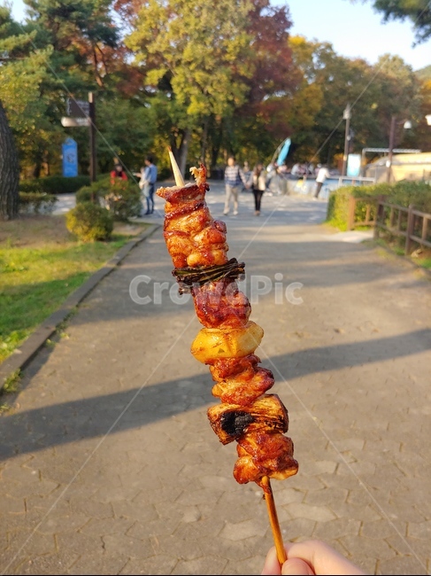 떡꼬치,닭꼬치,꼬치,꼬치구이,매운꼬치,양념꼬치,꼬치요리,양꼬치,야채꼬치,피크닉,분식,휴게소