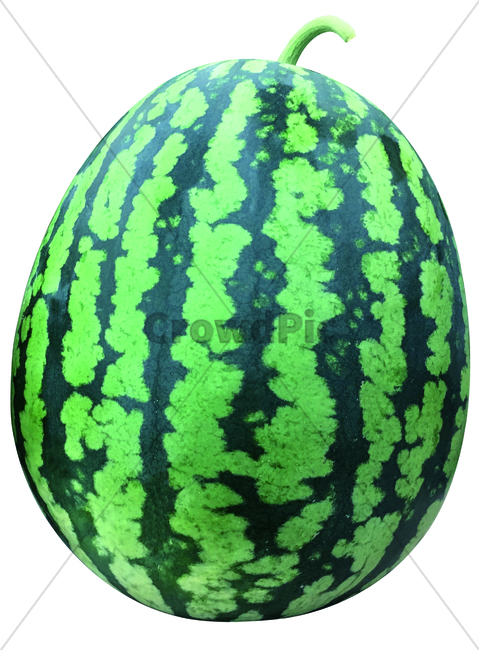 수박,과일,여름,watermelon,fruit,과일,열매,fruit