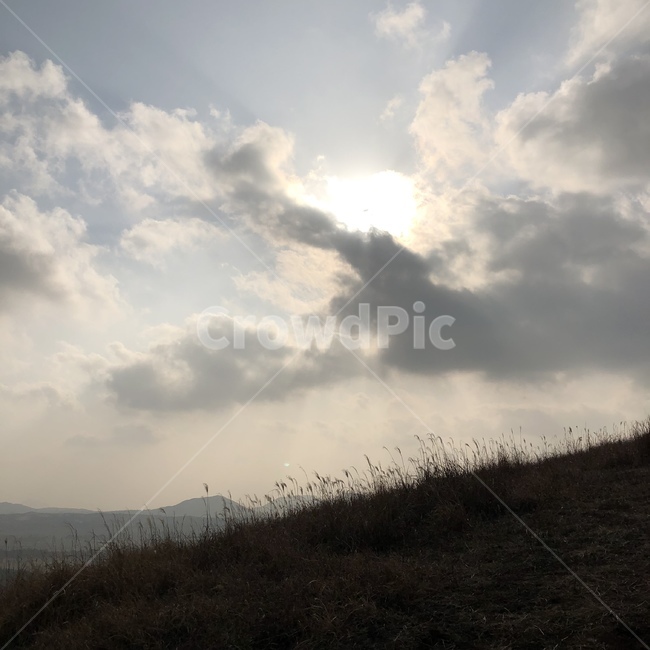 노을,하늘,해,겨울하늘,갈대,구름,풍경,높은하늘,자연,절경,역광,예쁜하늘,날씨,맑음,자연,풍경,nature,landscape,weather,outdoors,옥외