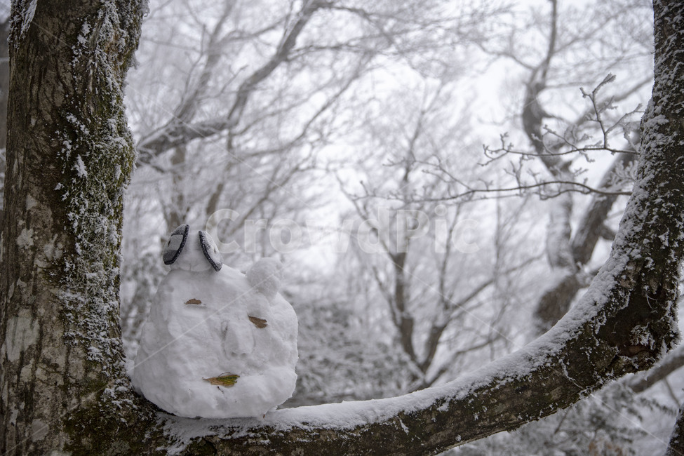 눈사람,설경,겨울산,한라산,감성,겨울,계절,winter,season,자연,풍경,nature,landscape,outdoors,옥외,snow,눈
