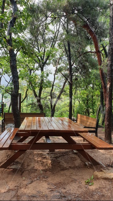 자연,숲,나무,흙,푸른숲,tree,계곡,nature,outdoors,테이블
