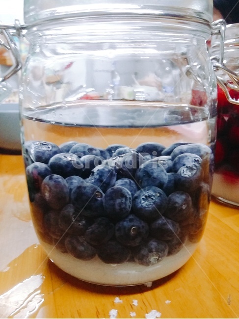 담금주,블루베리,블루베리담금주,병,과일