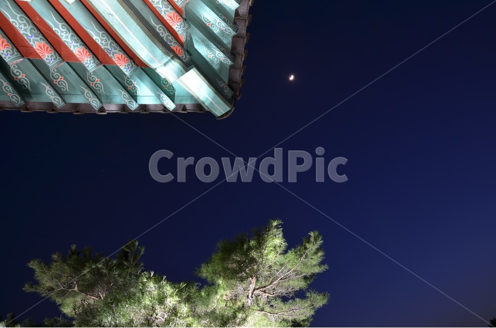 경주,금장대,야경,소나무,기와,야경,밤,풍경,nightscape,night,landscape,한국전통,한국문화,korean traditional,korean culture,건축물,건물외관,exterior,building,structure,architecture,construction