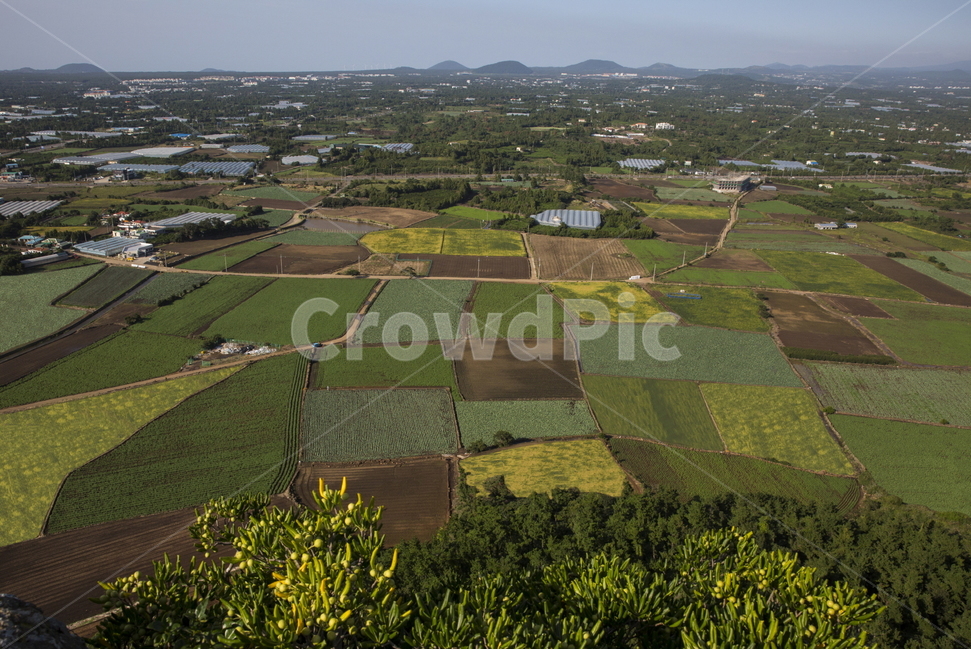 제주,제주오름,오름,단산,단산풍경,자연,풍경,nature,landscape,한국자연풍경,한국자연경관,korea nature landscape,시골,마을,country,rural,town,outdoors,옥외,scenery,경치,field,들,grassland,목초지