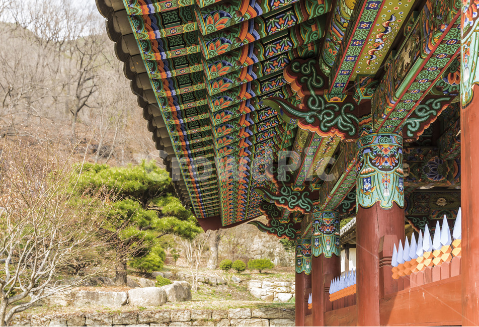 종각,문양,무늬,패턴,사찰,전통,한국전통,한국문화,korean traditional,korean culture,건축물,건물외관,exterior,building,structure,architecture,construction