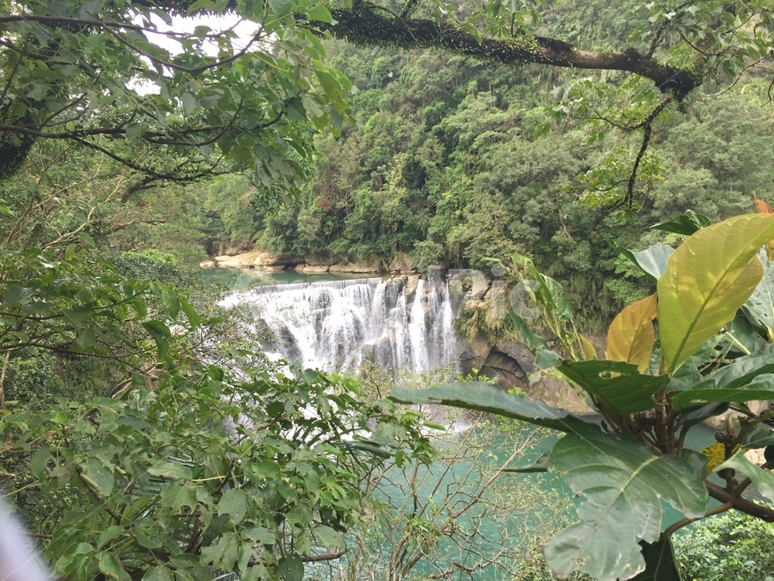정글,폭포,대만,시원함,울창,자연,풍경,nature,landscape,outdoors,옥외,river,강,water,물,waterfall,plant,식물,vegetation,초목
