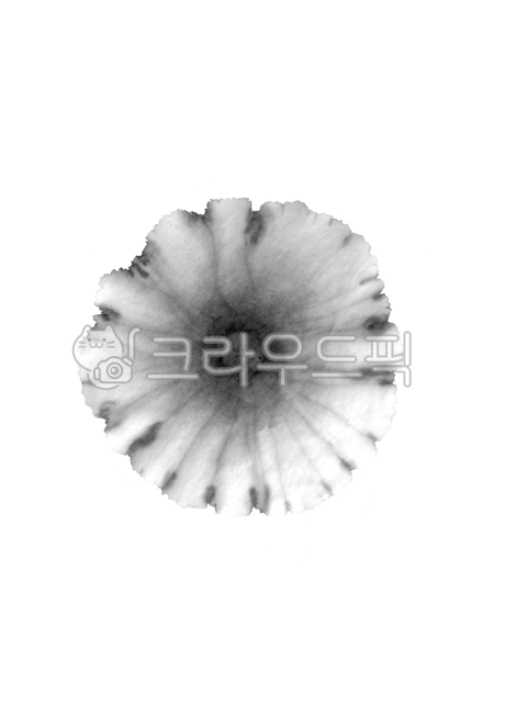 먹꽃,꽃,먹그림,꽃그림,블랙,모노톤,바탕,디자인소스,소스,flower,black,누끼,붓터치,붓그림