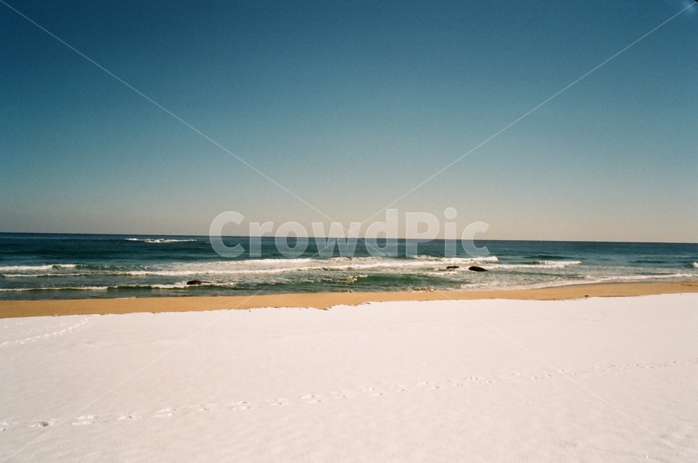 겨울,바다,눈,snow,beach,sea,겨울바다,파도,wave