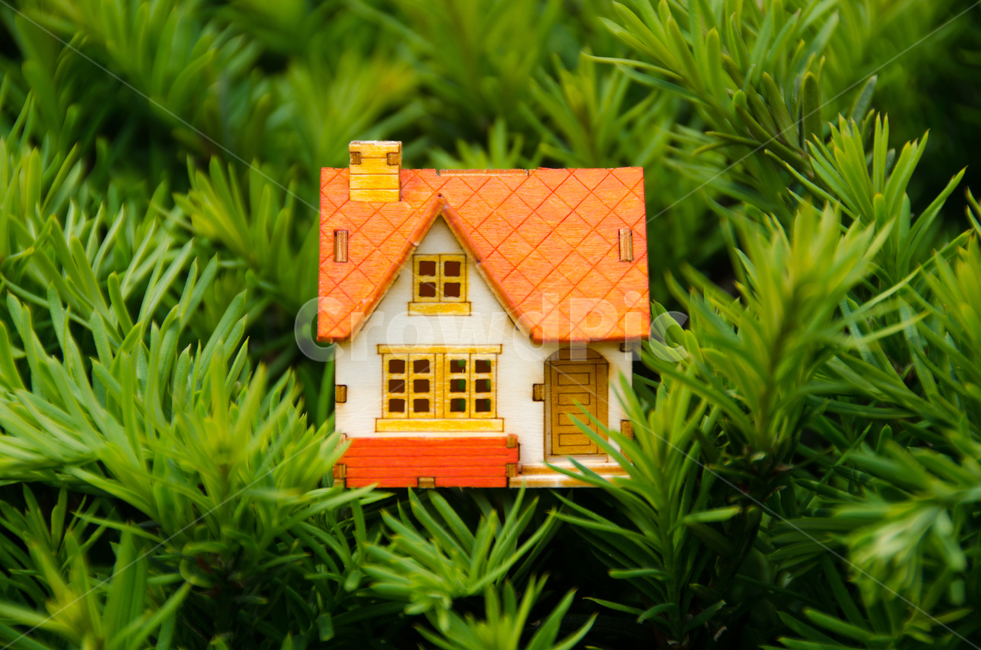 부동산,전원주택,집,자연,컨셉,생태,환경,숲,정원,잔디,녹색,건강,주택,투자,미니어처,모델,모기지,옥외,재산,임대,주거,​​판매,봄,여름,장난감,나무,백그라운드,비즈니스,모형,모형집,하우스,매매,사물,물건,오브젝트,thing,object,matter