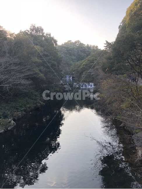 폭포,바다,파도,자연,제주도,제주,배경,배경화면