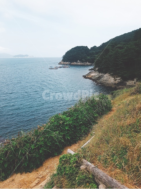 바다,산,나무,풀,흙,풀잎,자연,풍경,nature,landscape,promontory,곶,outdoors,옥외,water,물