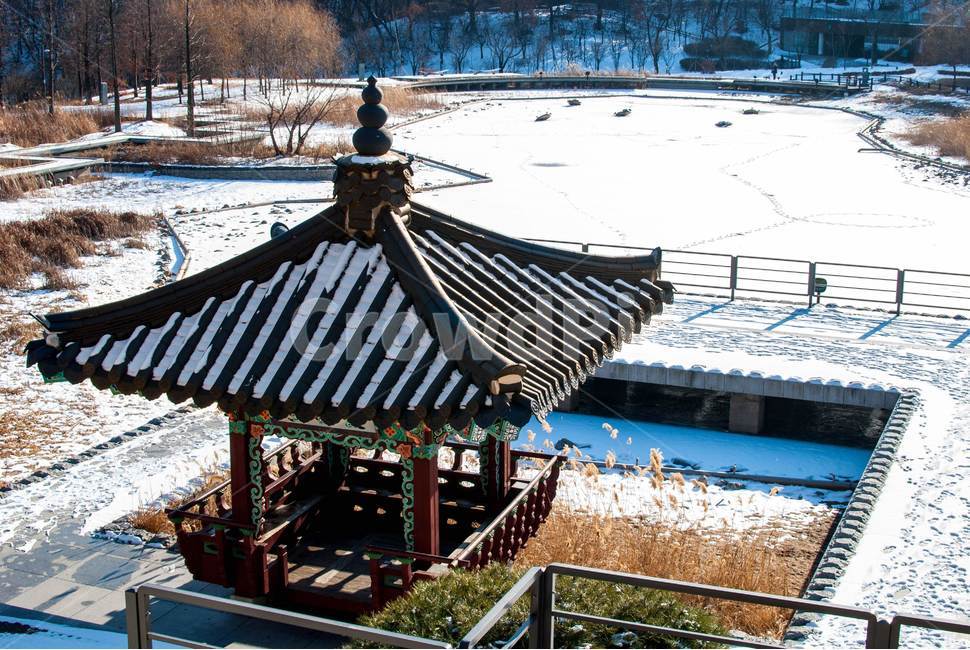 건축,architecture,정자,한국건축,공원,건축물