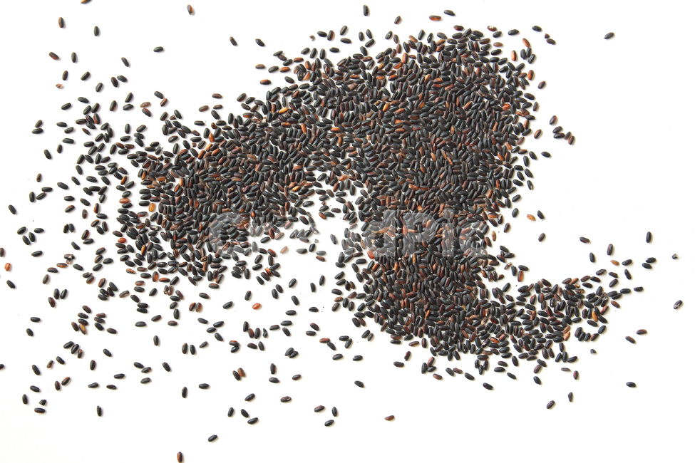 쌀,검은쌀,곡식,asia,식재료,밥,곡물,음식,식품,흰배경,쌓여있는,요리,cook,meal,dishes,cereals,곡류,black,brown,food,nutrition,pile,rice,검정,흑미,음식,식재료,요리,food,cook,meal,dishes,food reserves,곡류,곡식,cereals,누끼,remove background