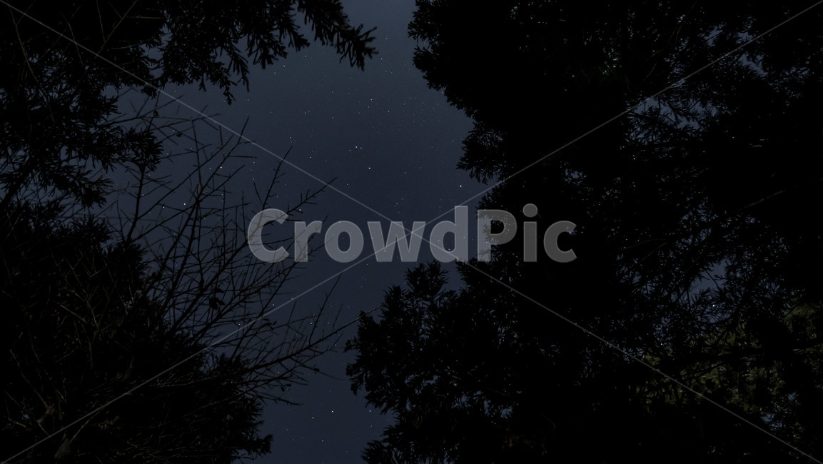 nature,자연,outdoors,옥외,universe,공간,밤하늘,nightsky,night,밤,별,star,별밤,starrynight,starrysky,별이빛나는하늘,자연,풍경,nature,landscape,야경,밤,nightscape,night
