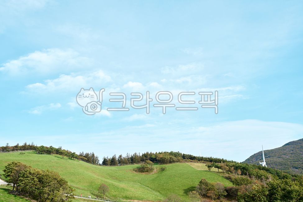 잔디, 들판, 풍경, 나무, 식물, 사진,이미지,일러스트,캘리그라피 - NewNa작가